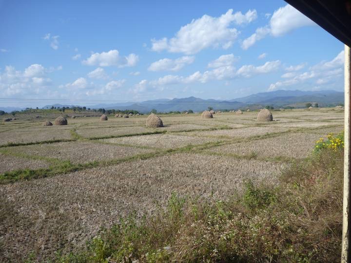 More rural views, haystacks were being built in almost every field as we approached Hsipaw